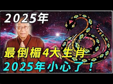 2025年五行屬什麼